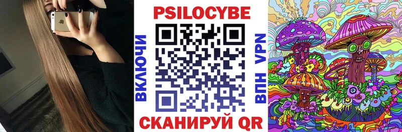 Галлюциногенные грибы Psilocybe  Купить  Тобольск 